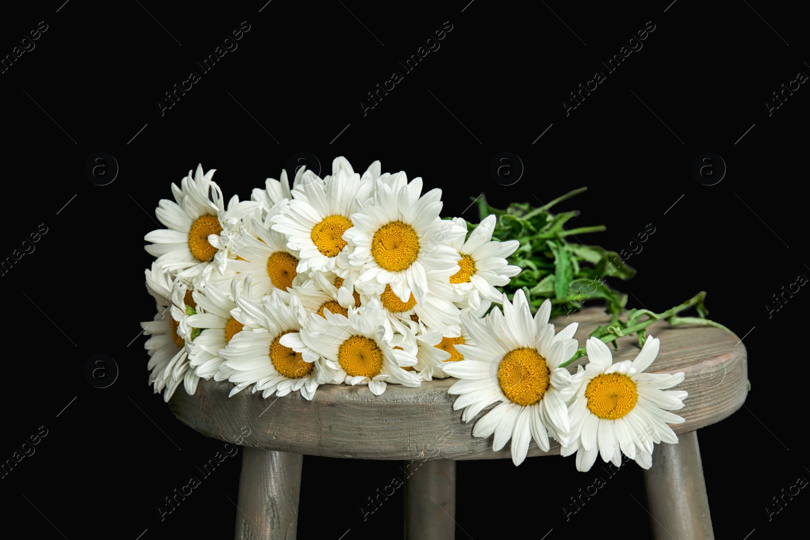 Photo of Beautiful chamomile flowers on table against dark background