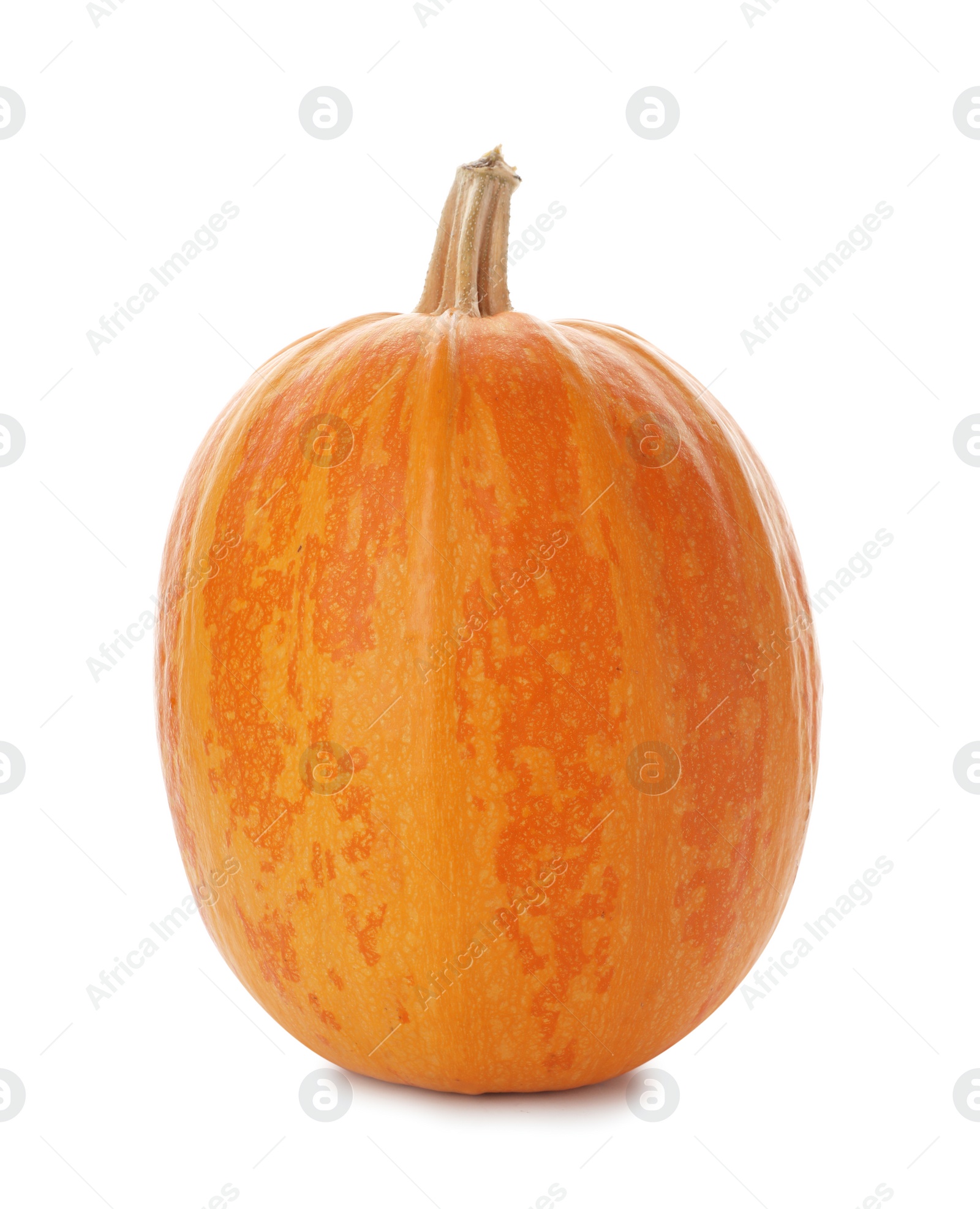 Photo of Fresh raw pumpkin isolated on white. Organic plant