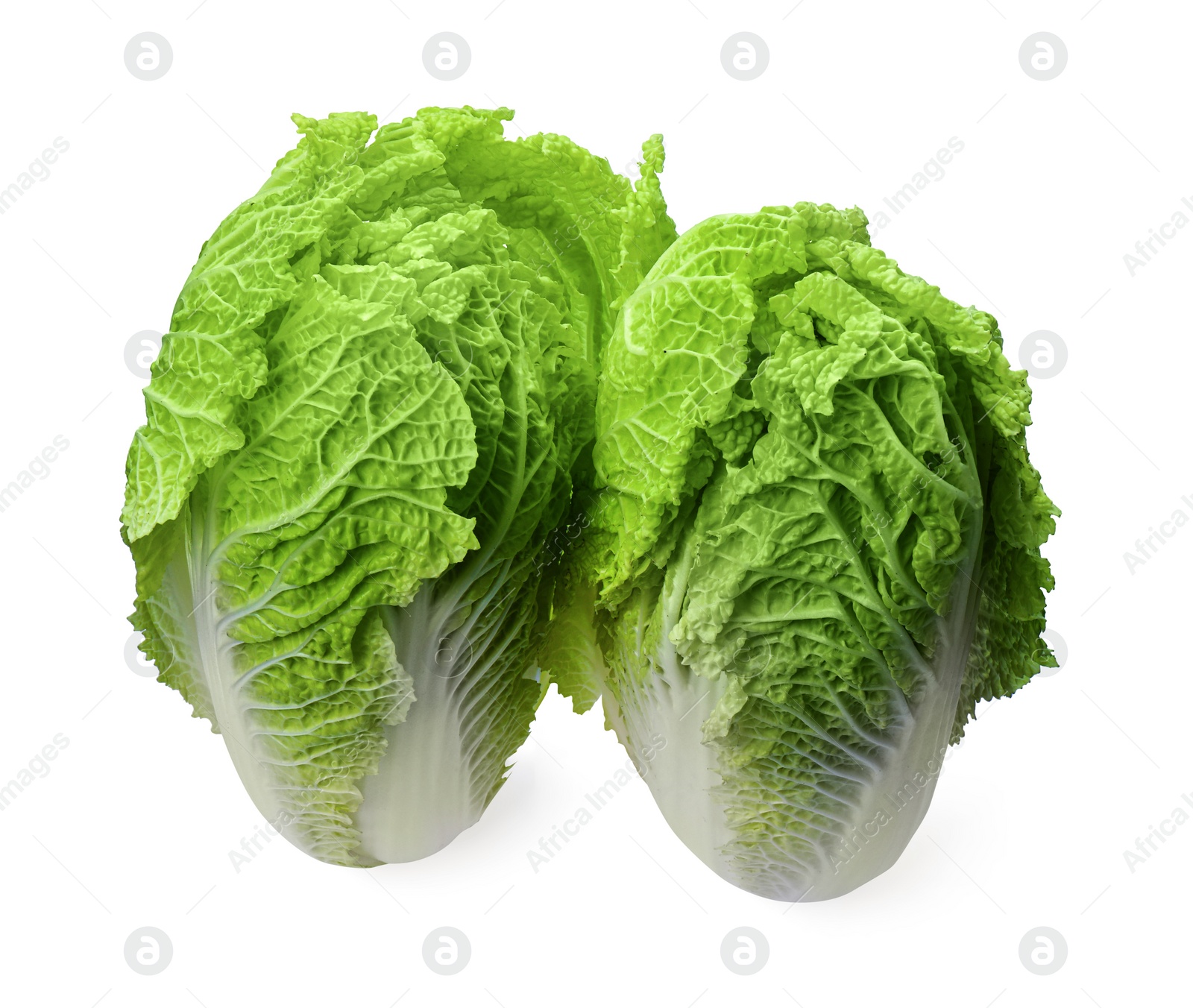 Photo of Fresh tasty Chinese cabbages on white background