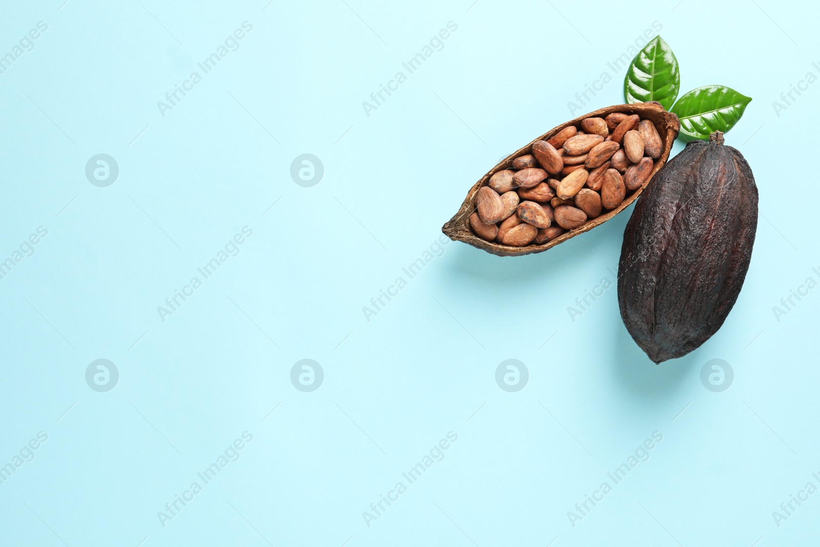 Photo of Cocoa pods and beans on light blue background, flat lay. Space for text