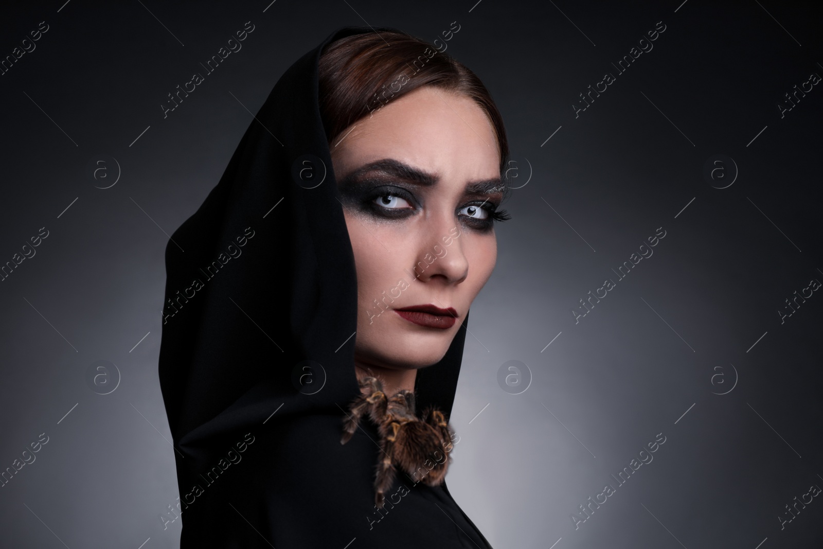 Photo of Mysterious witch with spooky spider on dark background
