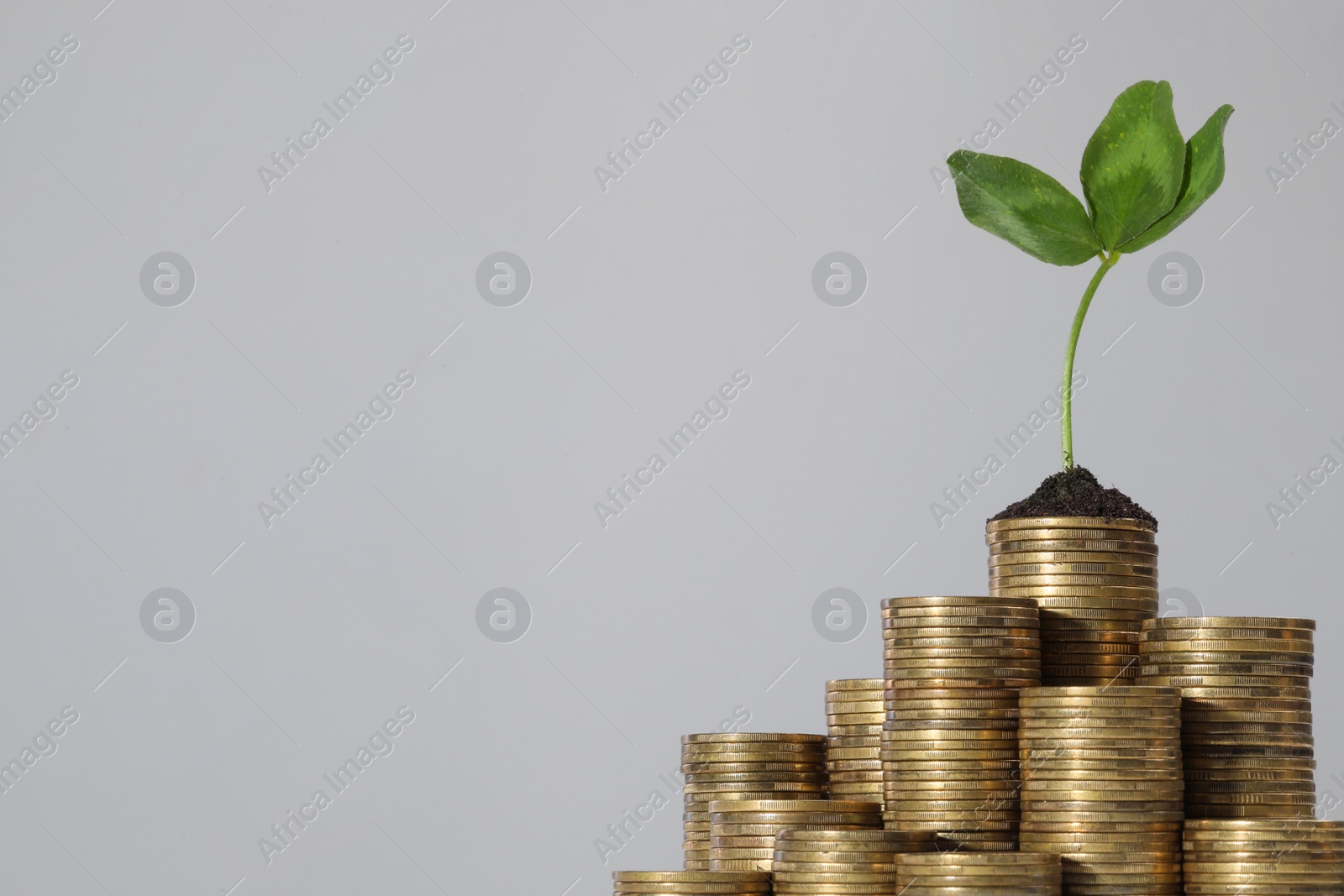 Photo of Stacks of coins with green sprout against light grey background, space for text. Investment concept
