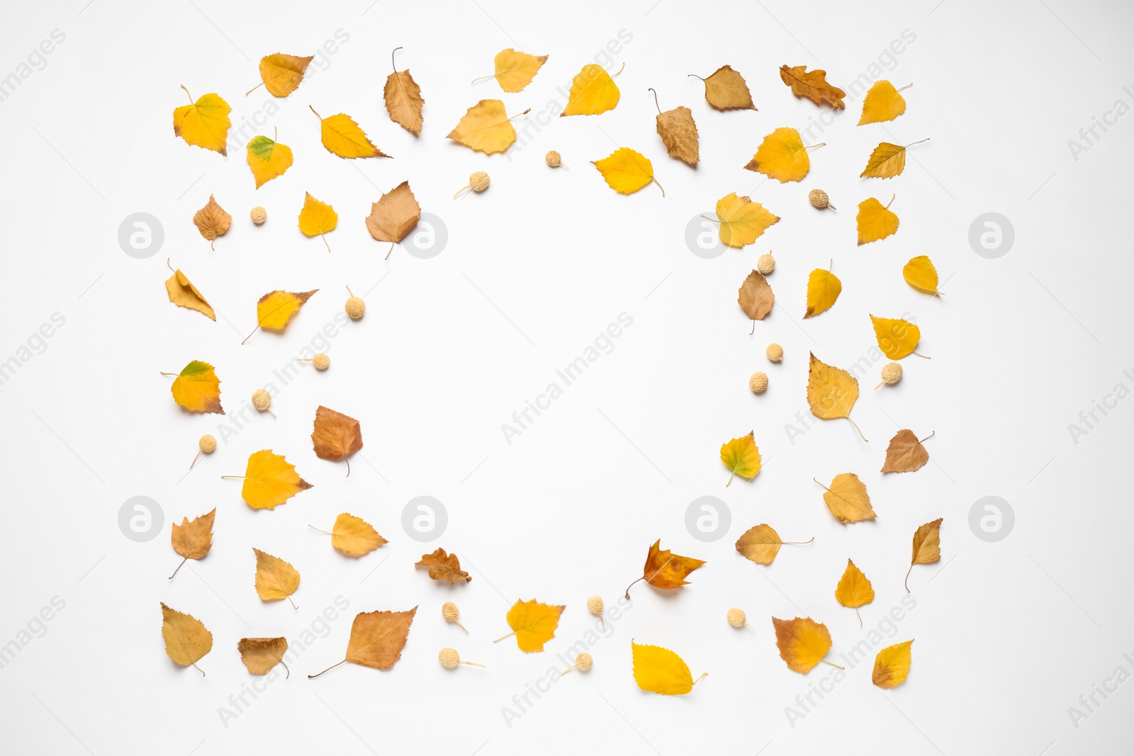 Photo of Flat lay composition with autumn leaves and space for text on white background