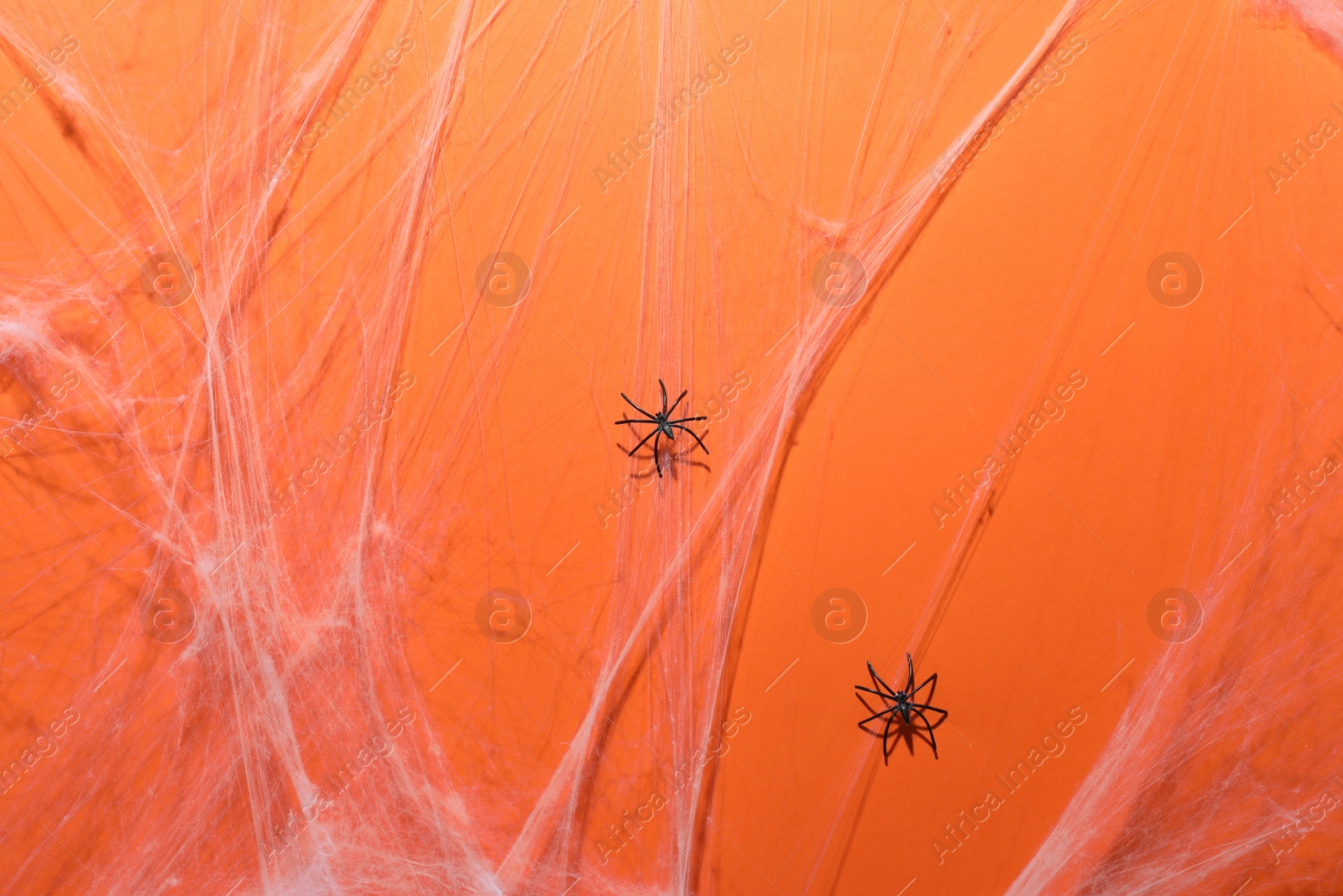 Photo of Cobweb and spiders on orange background, top view