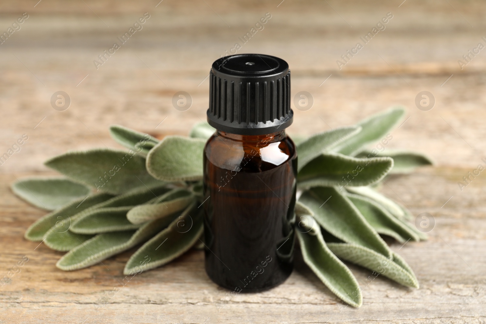 Photo of Bottle of essential sage oil and leaves on wooden table, closeup.