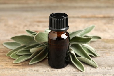 Photo of Bottle of essential sage oil and leaves on wooden table, closeup.