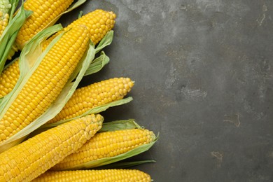 Tasty fresh corn cobs on grey table, flat lay. Space for text