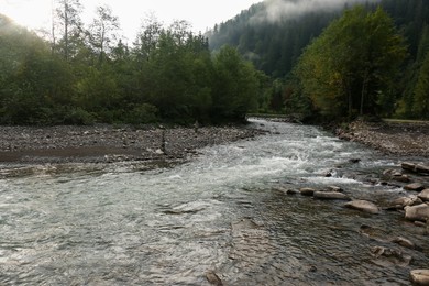 Photo of Picturesque view of beautiful river flowing near forest