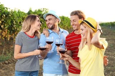 Photo of Friends tasting wine and having fun on vineyard picnic