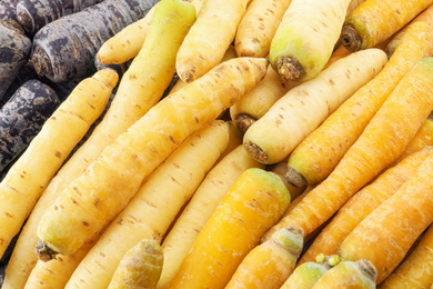 Pile of different carrots as background, closeup