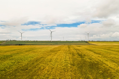 Image of Wind turbines in field on cloudy day