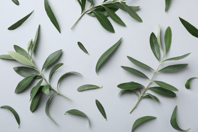 Photo of Flat lay composition with fresh green olive leaves and twigs on light background