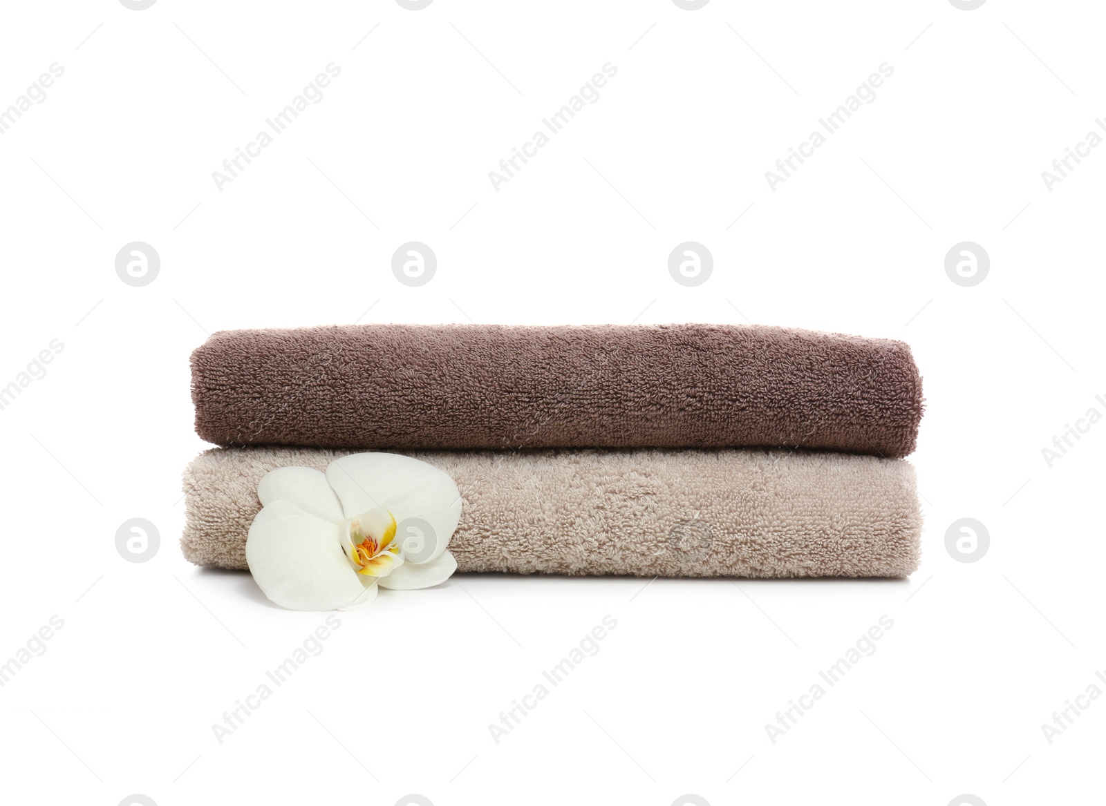 Photo of Clean folded towels with flower on white background