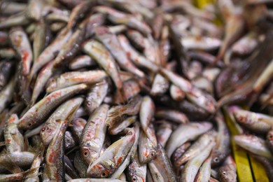 Photo of Many raw red mullet fish on blurred background, closeup
