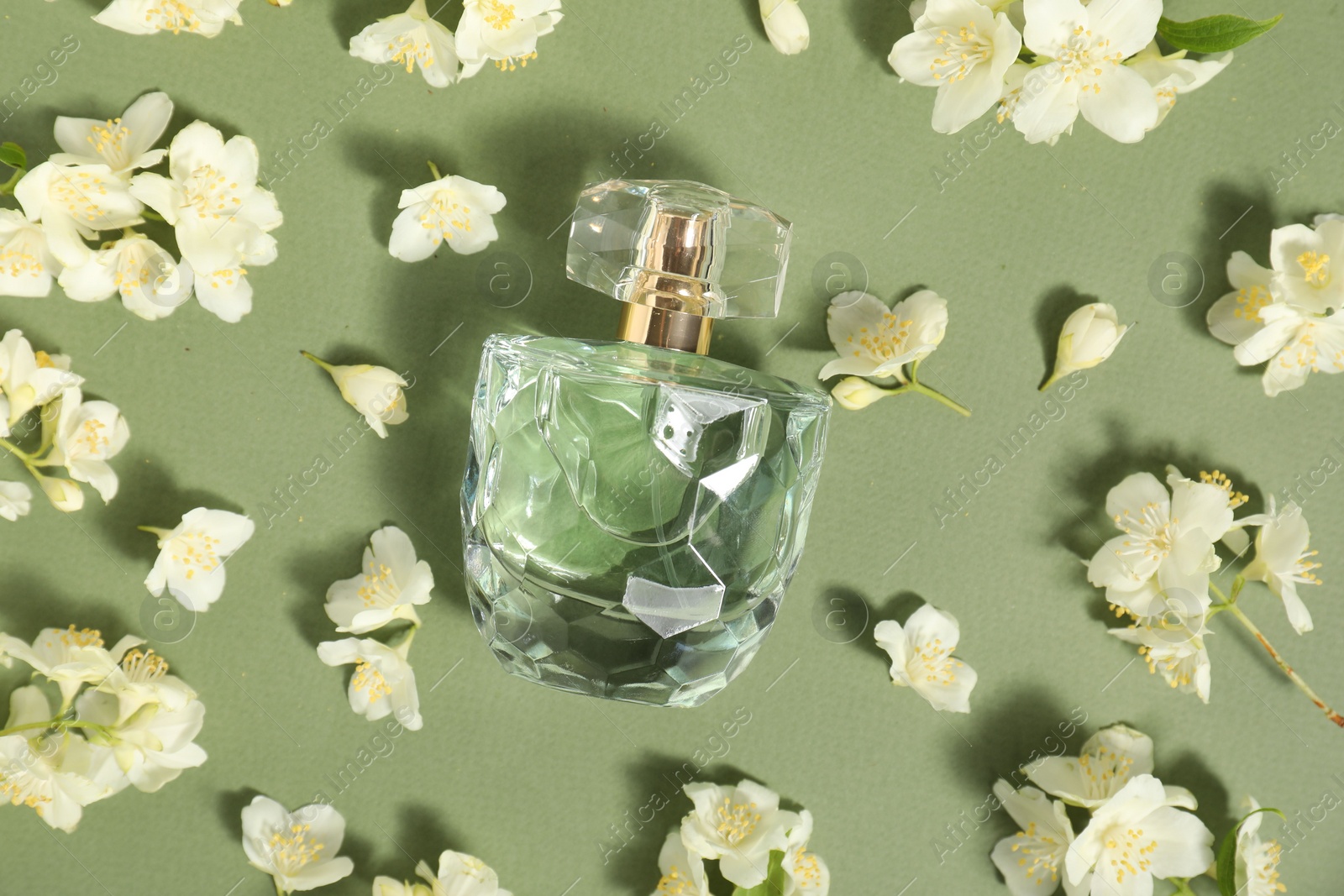 Photo of Aromatic perfume in bottle among beautiful jasmine flowers on pale green background, flat lay