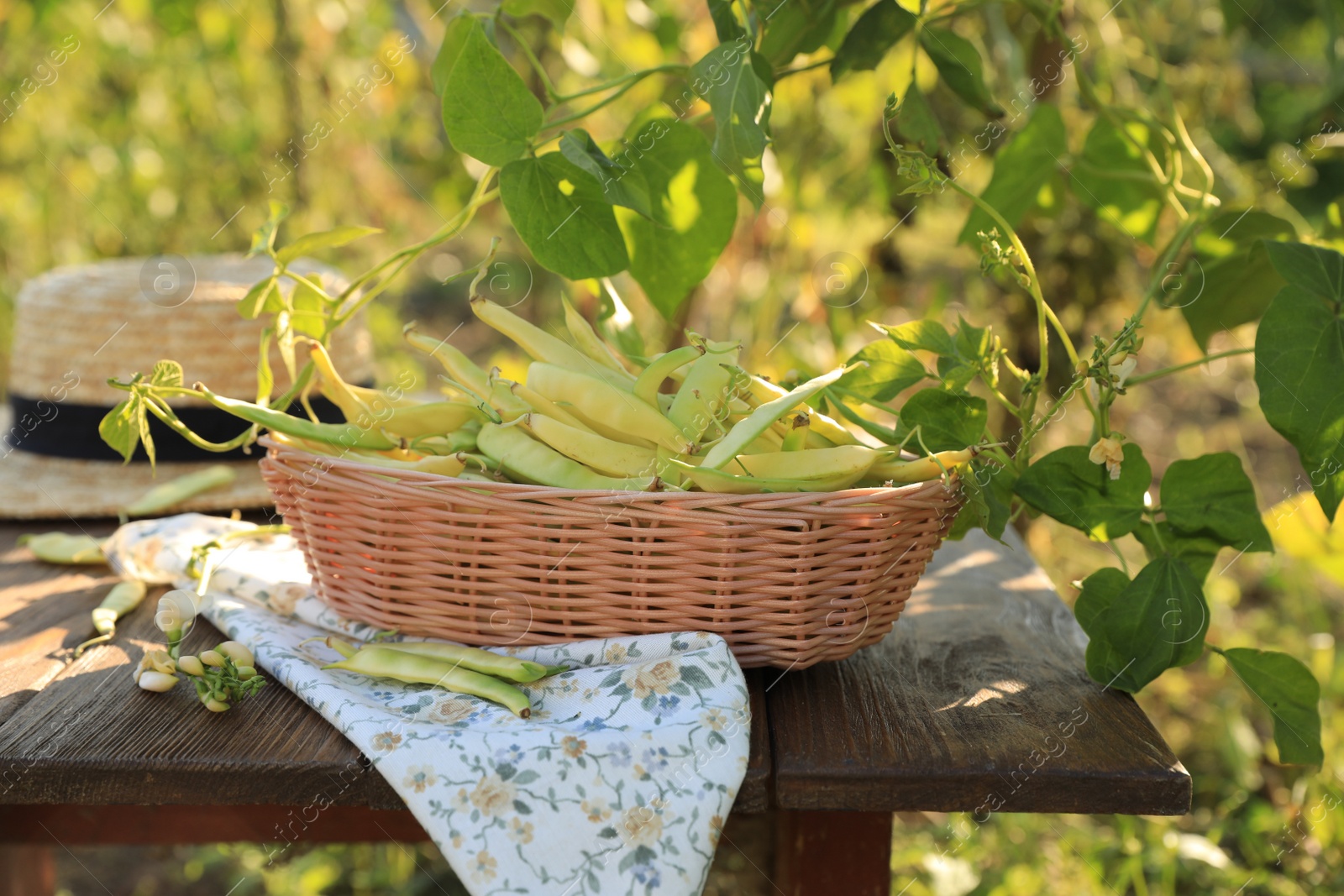 Photo of Wicker basket with fresh green beans on wooden table in garden