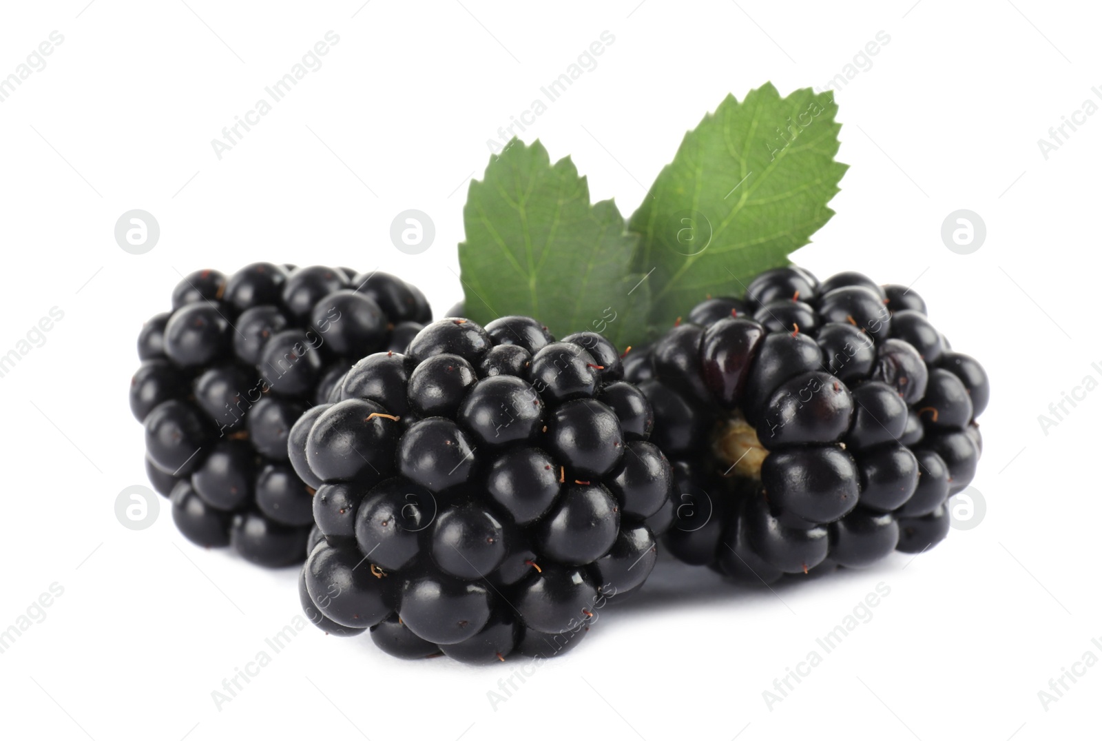 Photo of Tasty ripe blackberries and leaves on white background