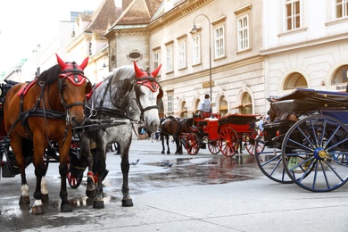 Photo of VIENNA, AUSTRIA - APRIL 26, 2019: Horse drawn carriages on city street