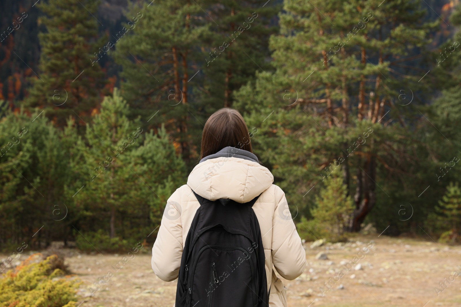 Photo of Woman with backpack in beautiful mountains, back view