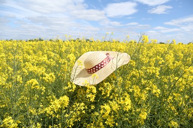 Photo of Field with beautiful blooming rapeseed flowers and hat under blue sky