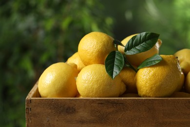 Photo of Fresh lemons in wooden crate against blurred background, closeup