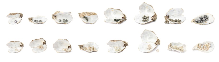 Image of Set with beautiful pearls and oyster shells on white background. Banner design