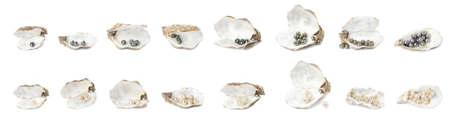 Set with beautiful pearls and oyster shells on white background. Banner design