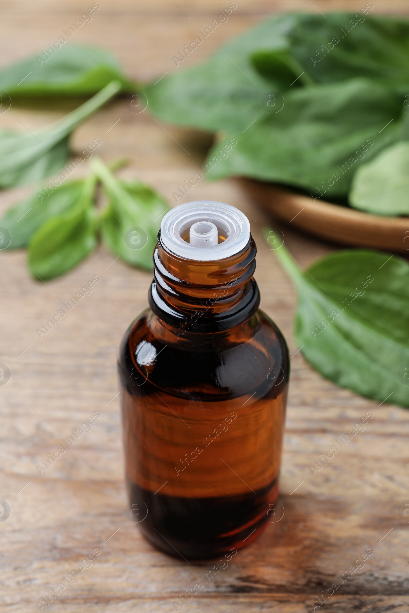 Photo of Bottle of broadleaf plantain extract and leaves on wooden table