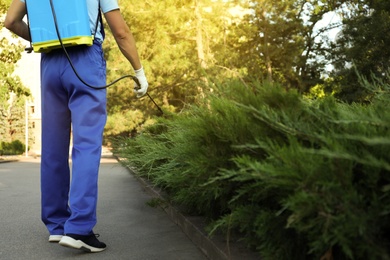 Photo of Worker spraying pesticide onto green bush outdoors, closeup. Pest control