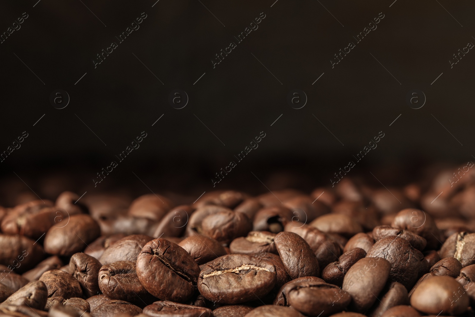 Photo of Many roasted coffee beans on dark background, closeup