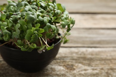 Photo of Fresh radish microgreens in bowl on wooden table, closeup Space for text