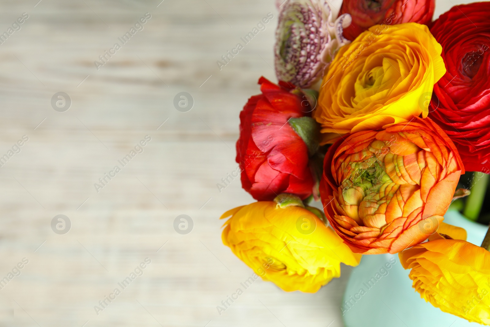 Photo of Bouquet of beautiful bright ranunculus flowers on light background. Space for text