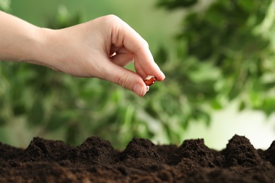 Photo of Woman putting bean into fertile soil against blurred background, closeup. Vegetable seed planting