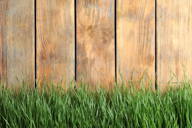 Fresh green grass near wooden fence. Space for text