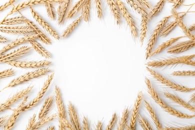 Photo of Many ears of wheat on white background, flat lay. Space for text