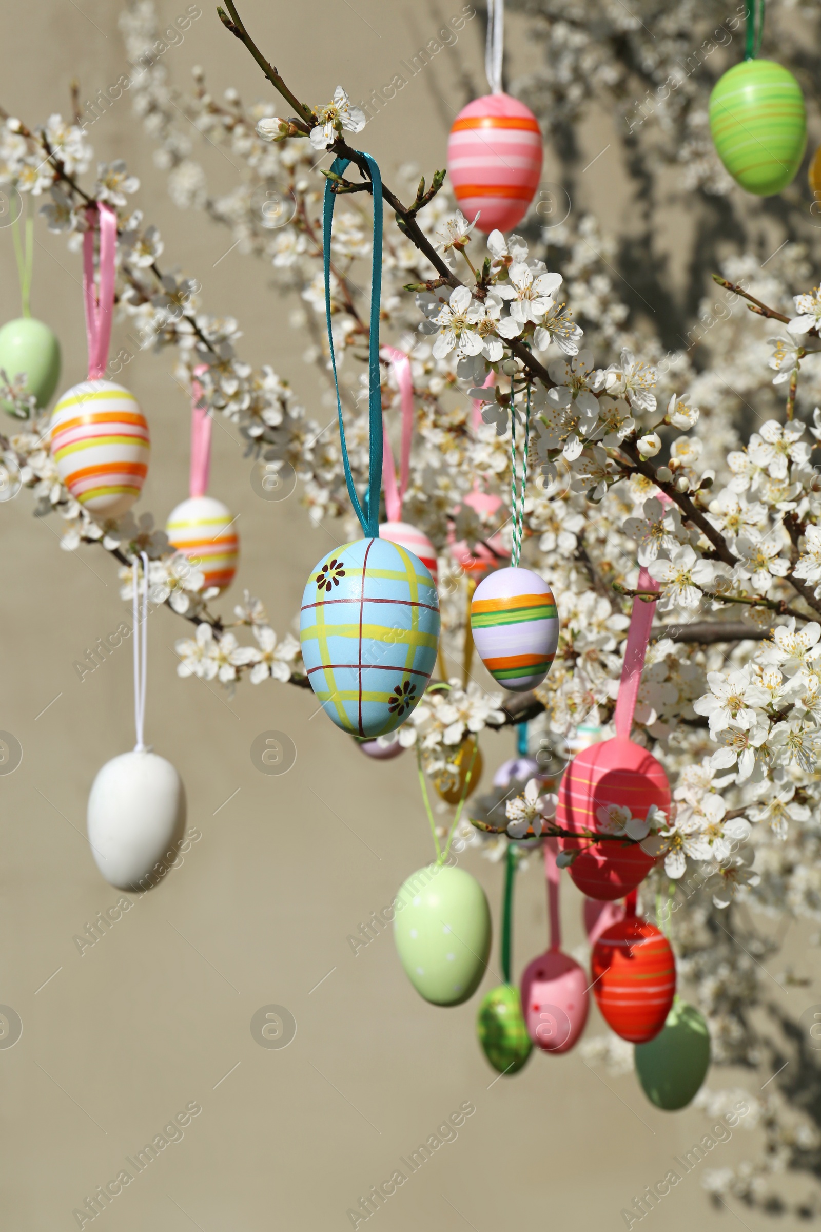 Photo of Beautifully painted Easter eggs hanging on blooming cherry tree outdoors