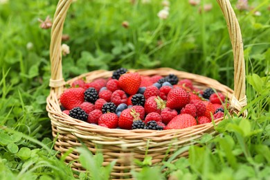 Photo of Wicker basket with different fresh ripe berries in green grass outdoors