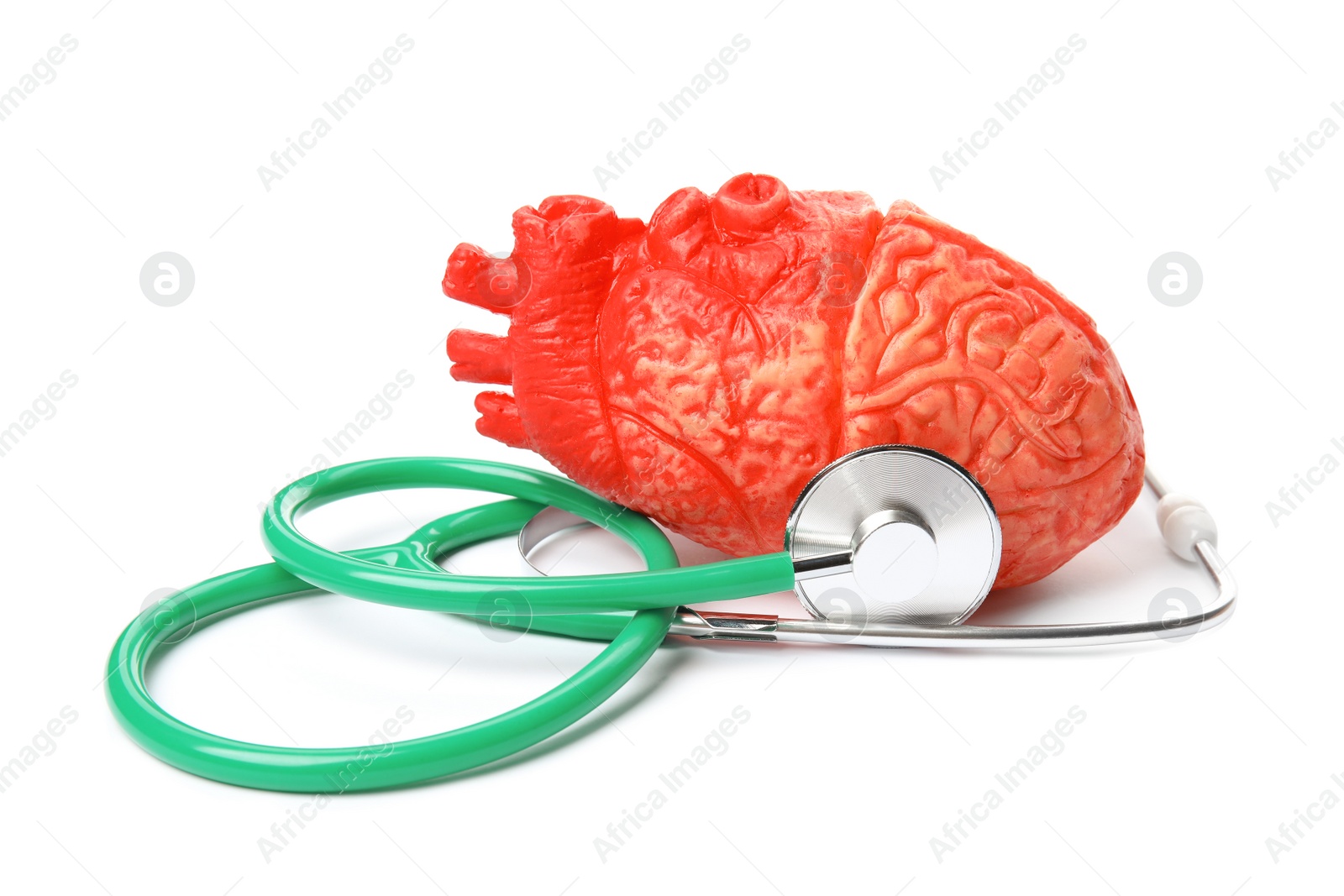 Photo of Heart model and stethoscope on white background. Cardiology concept