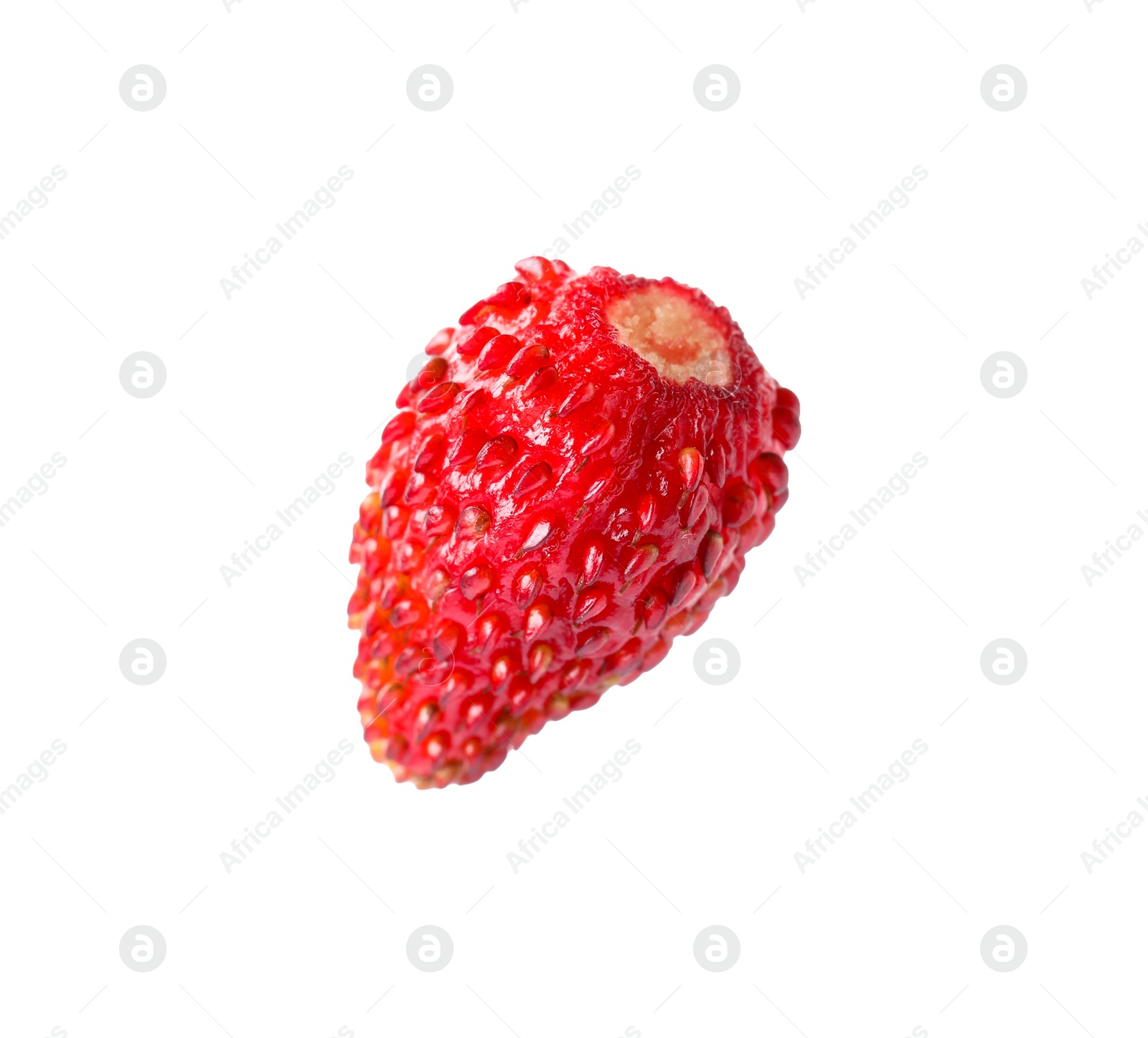 Photo of One ripe wild strawberry isolated on white