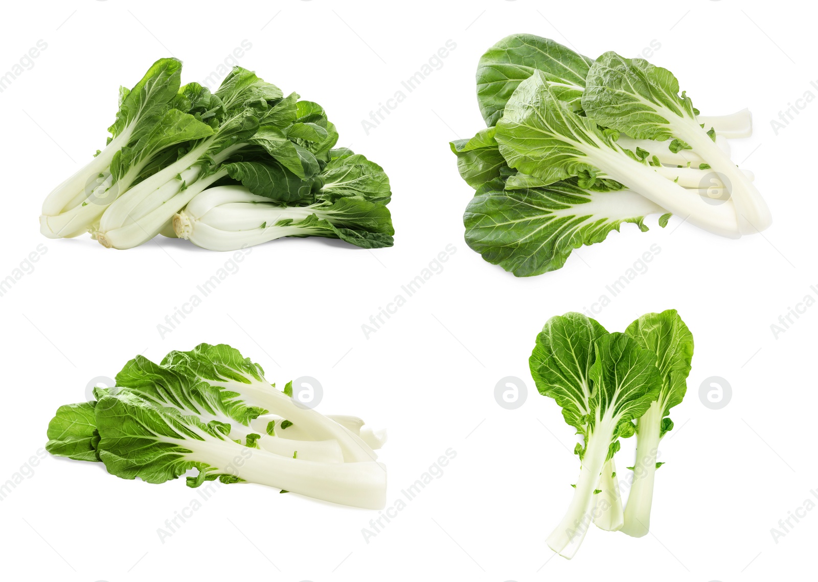 Image of Collage with fresh pak choy cabbages and leaves on white background