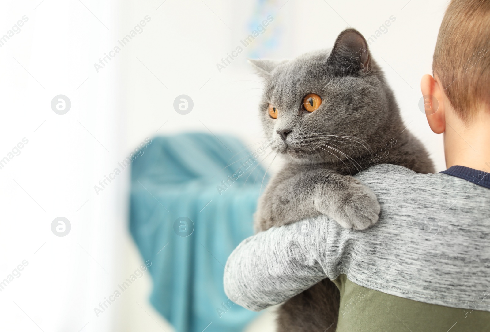 Photo of Little child holding cute cat at home