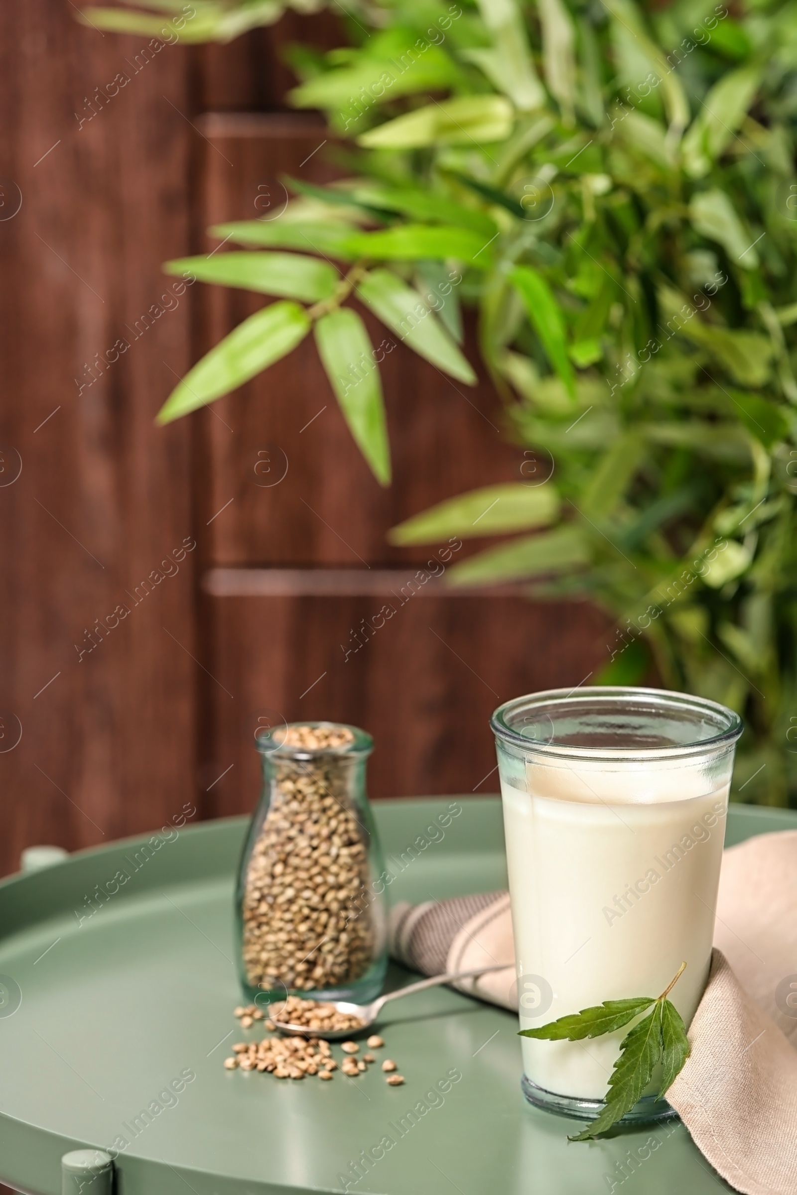 Photo of Composition with hemp milk on green table