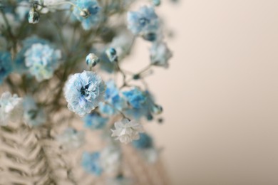 Photo of Beautiful gypsophila flowers on beige background, closeup. Space for text