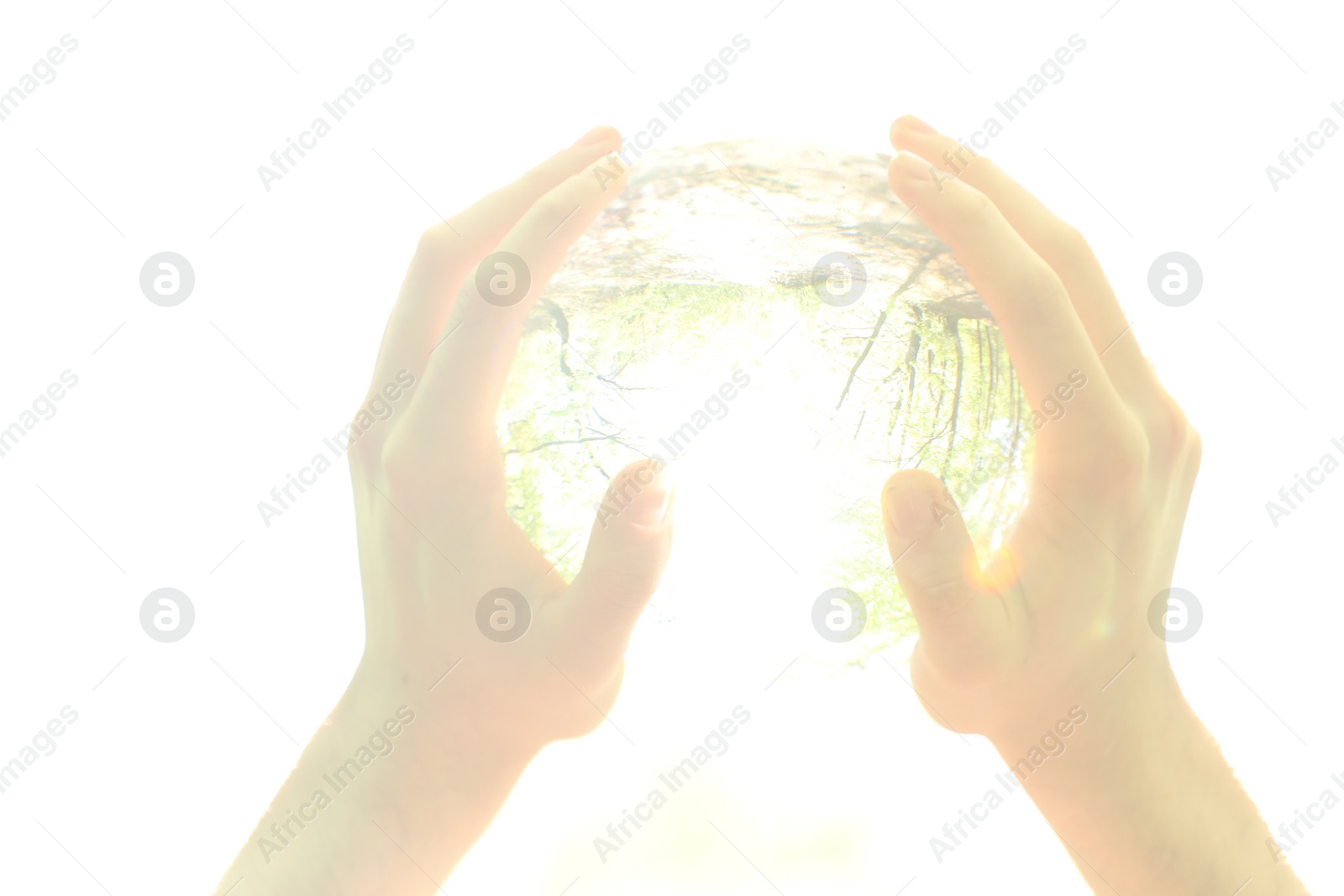Photo of Beautiful trees outdoors, overturned reflection. Man holding crystal ball on white background, closeup