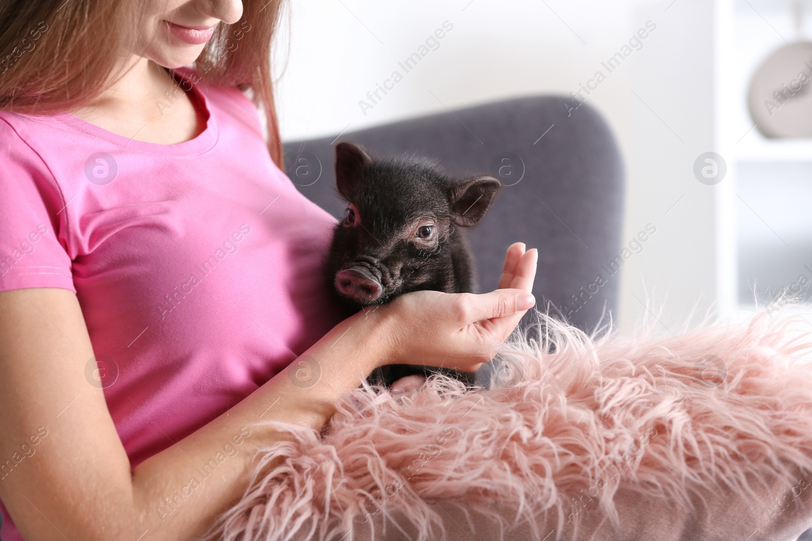 Photo of Woman with cute mini pig on sofa at home, closeup
