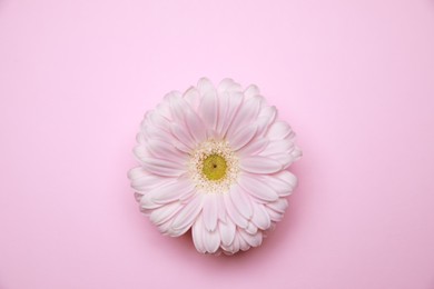 Gynecological treatment. Beautiful gerbera flower on pink background, top view