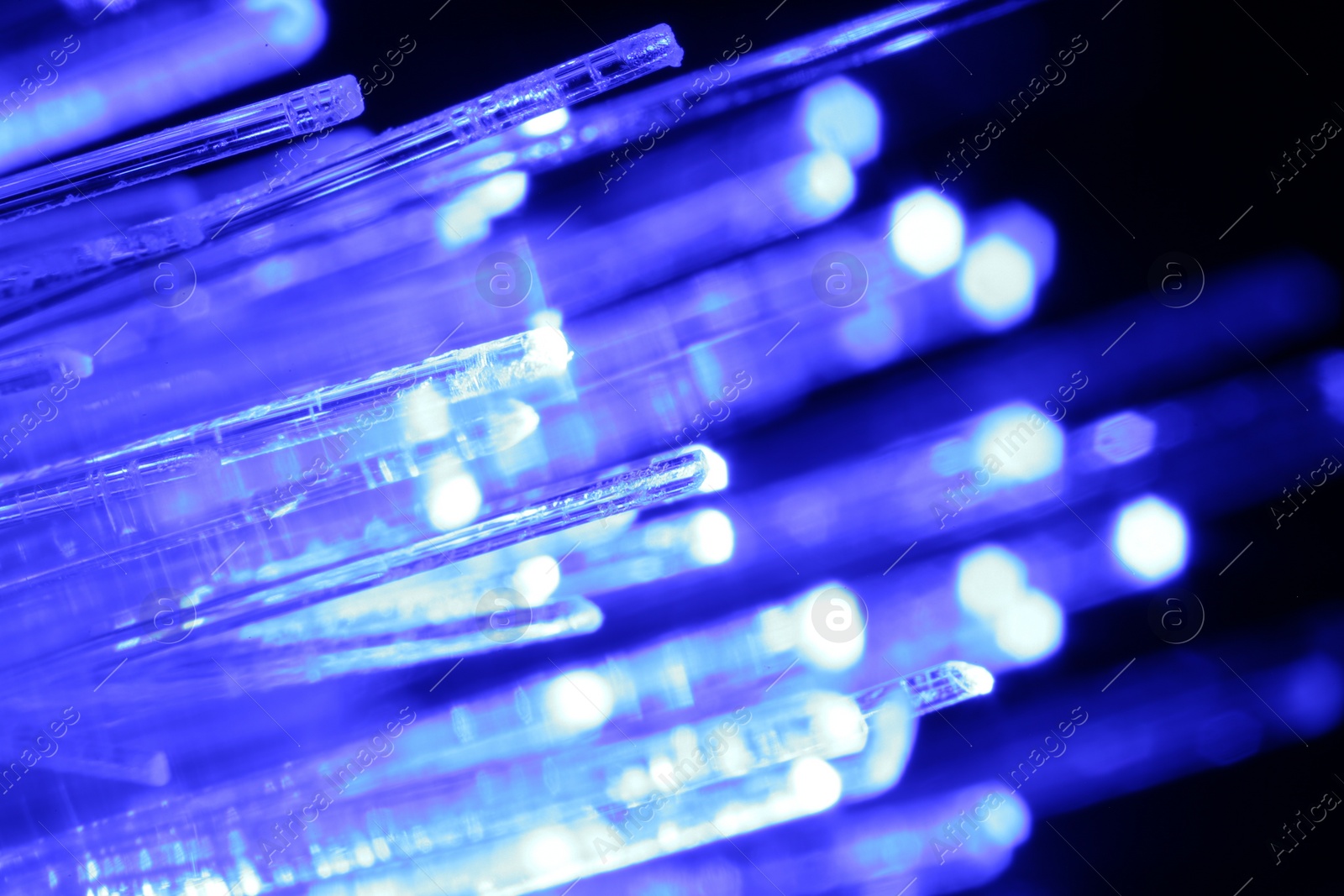 Photo of Optical fiber strands transmitting blue light in darkness, macro view