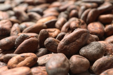 Photo of Tasty cocoa beans as background, closeup view