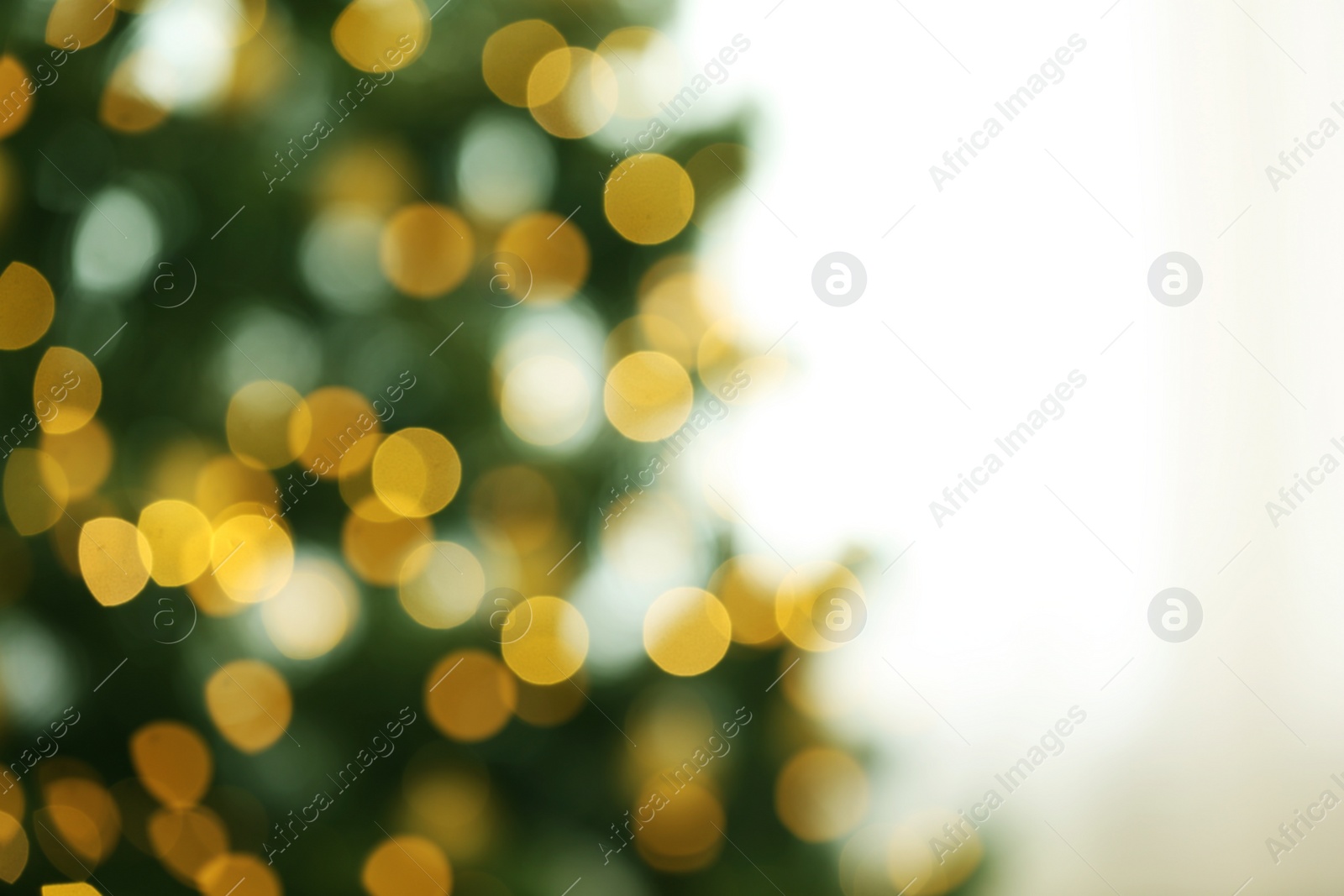 Photo of Blurred view of fir tree with glowing Christmas lights indoors. Festive mood