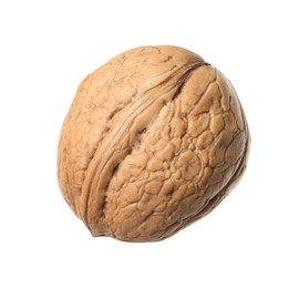Whole walnut in shell isolated on white
